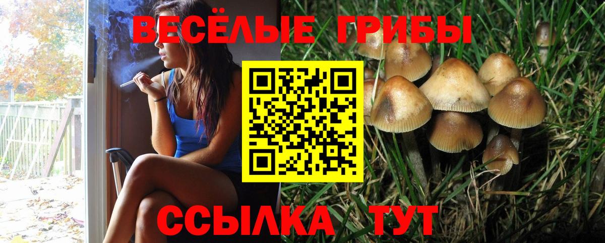 Галлюциногенные грибы MAGIC MUSHROOMS Коряжма